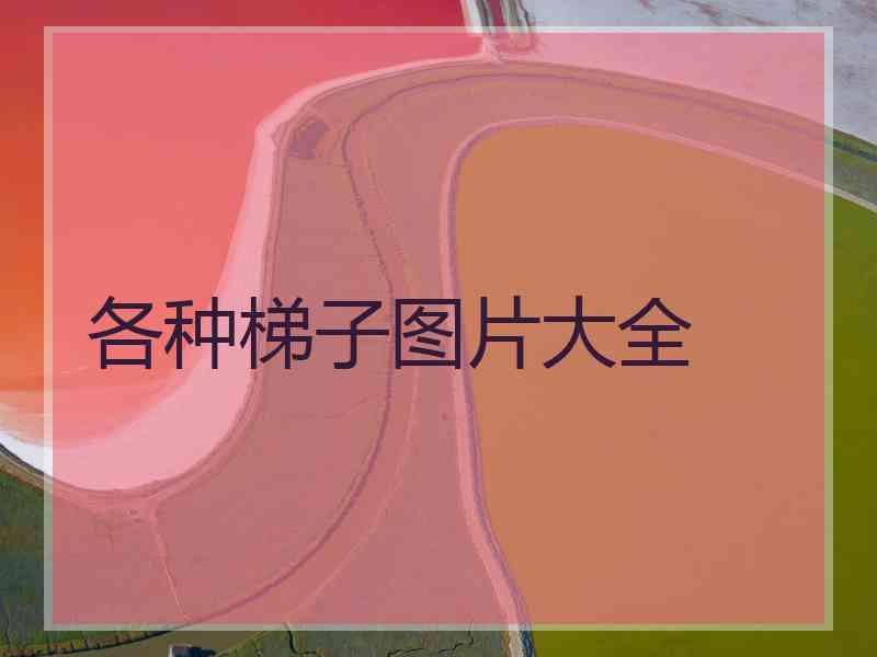 各种梯子图片大全