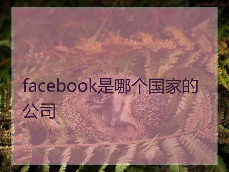 facebook是哪个国家的公司