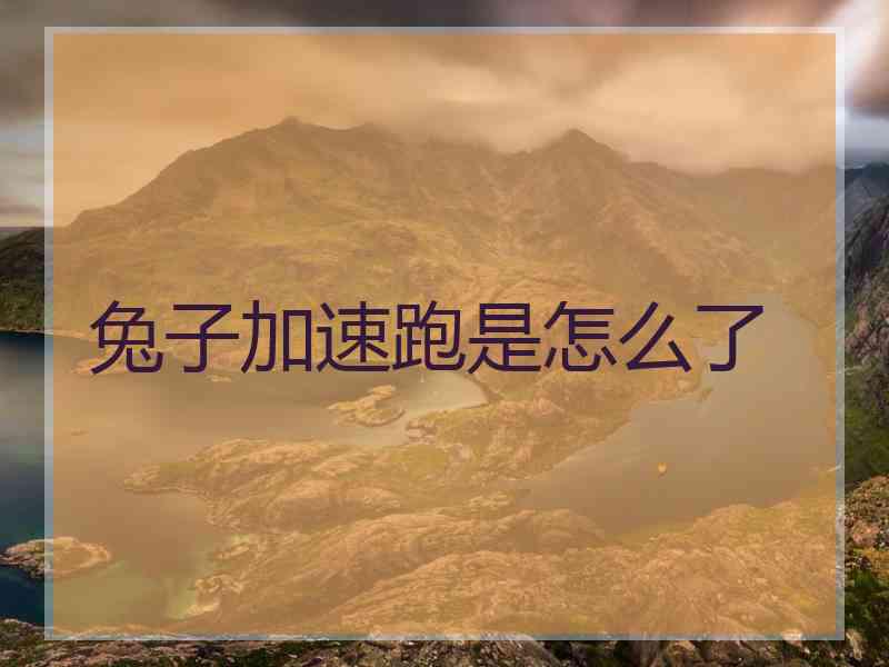 兔子加速跑是怎么了