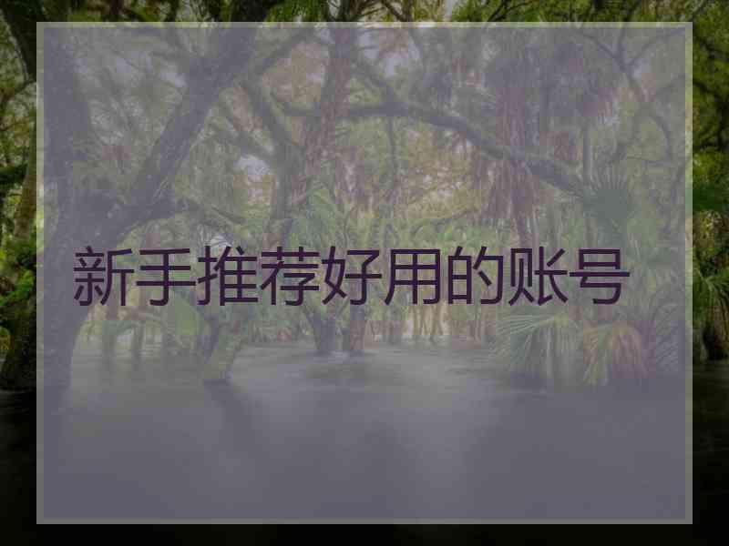 新手推荐好用的账号