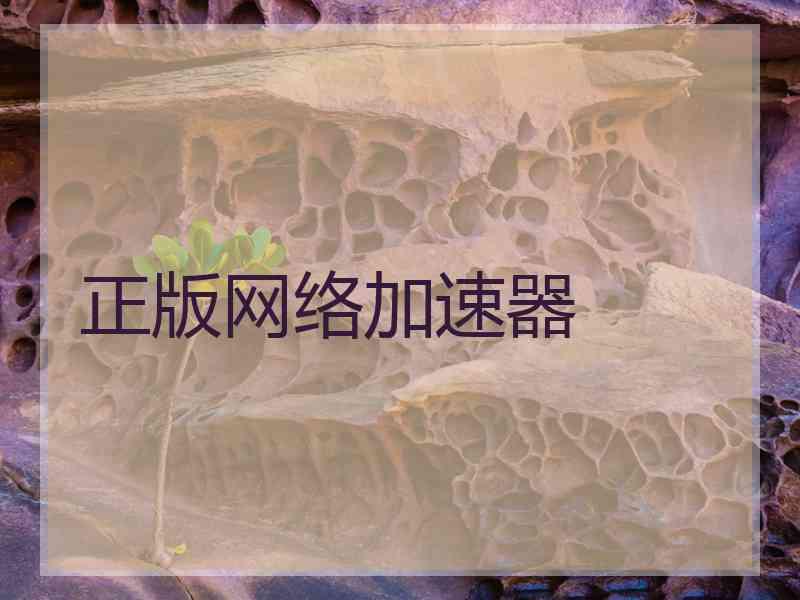 正版网络加速器