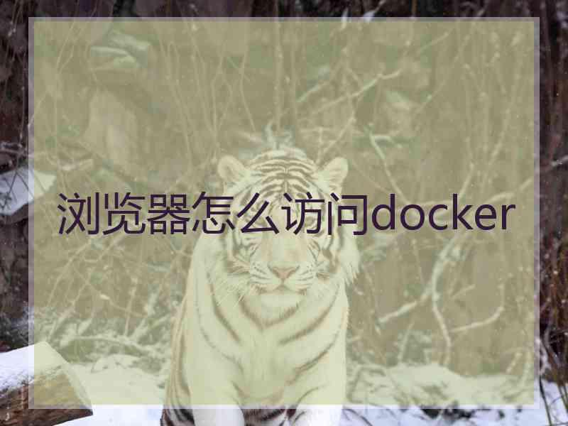 浏览器怎么访问docker