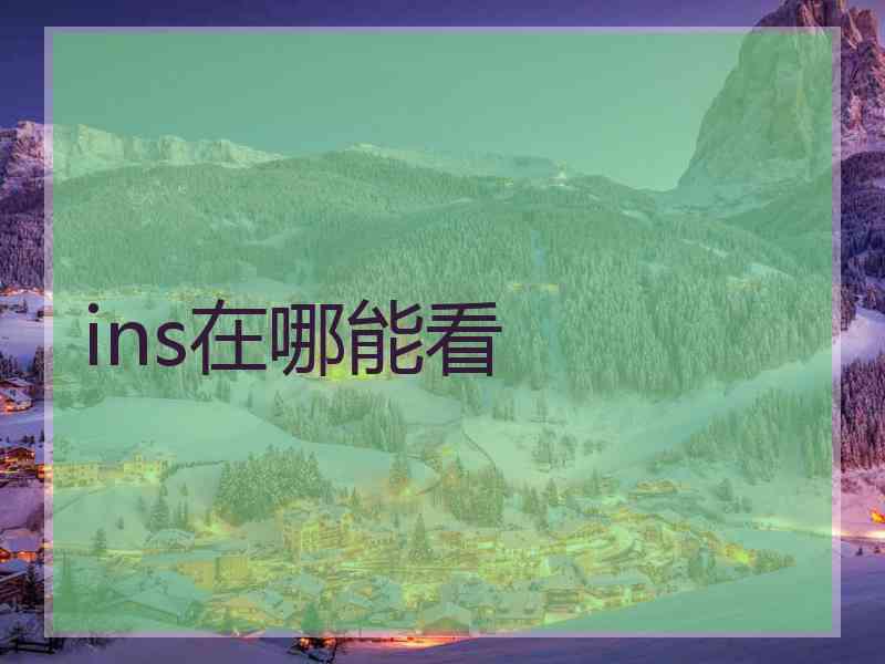 ins在哪能看