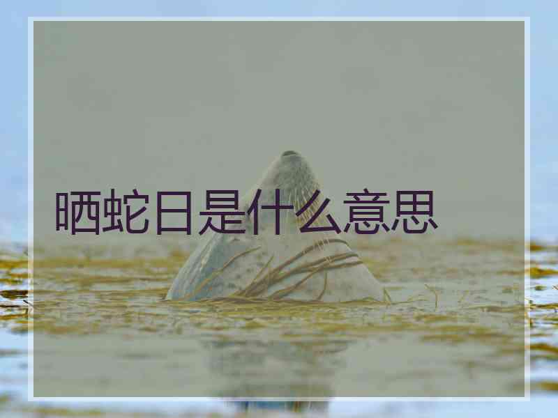 晒蛇日是什么意思