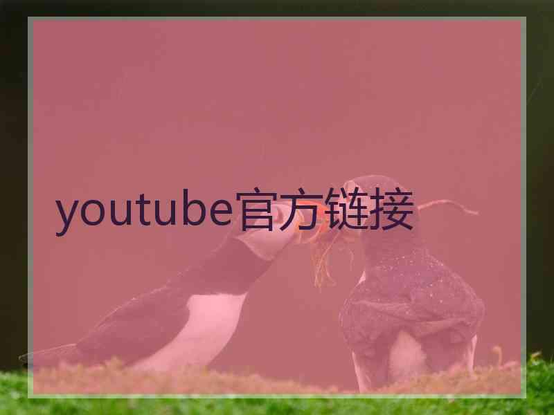 youtube官方链接
