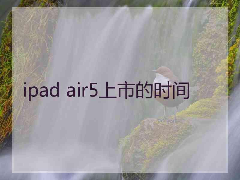 ipad air5上市的时间