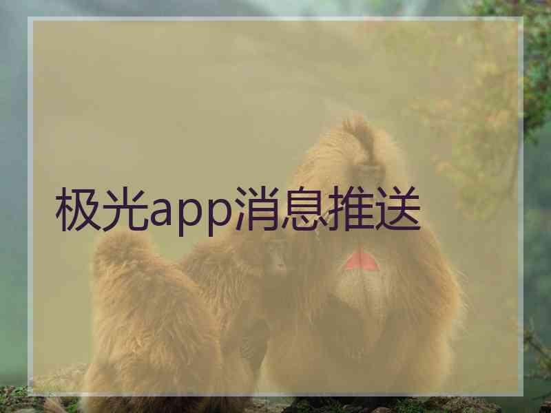 极光app消息推送
