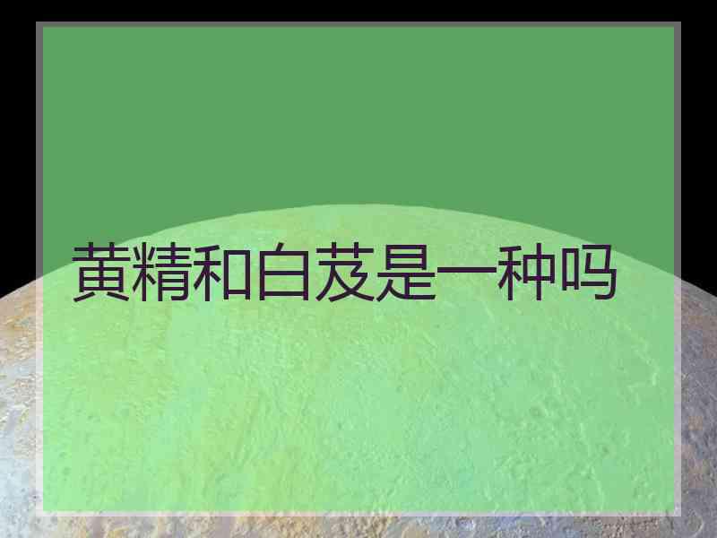 黄精和白芨是一种吗