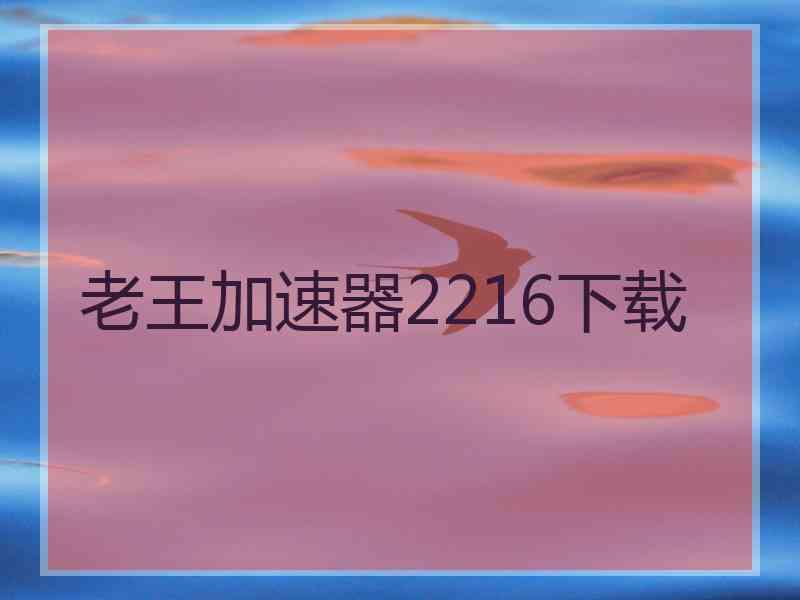 老王加速器2216下载