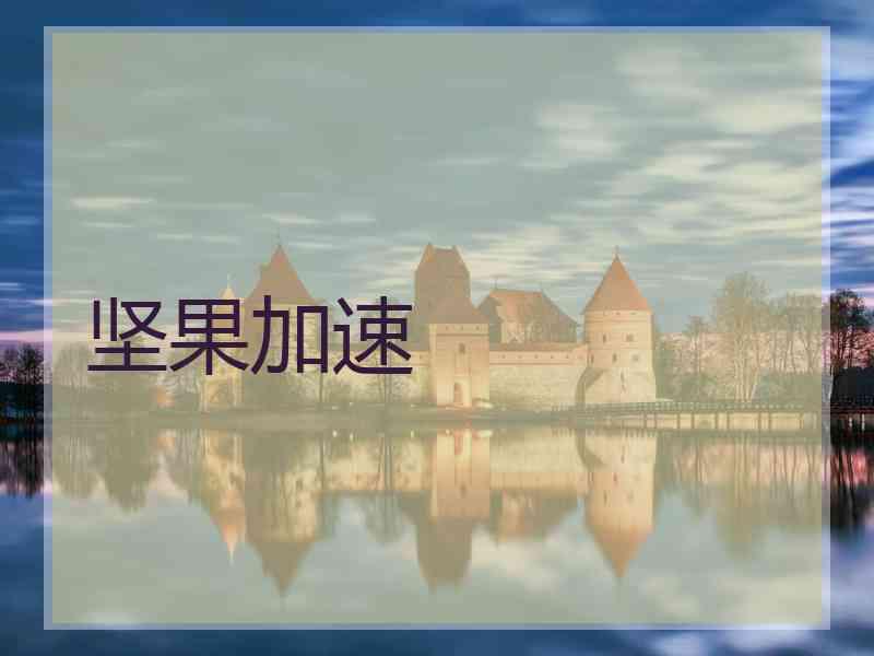 坚果加速
