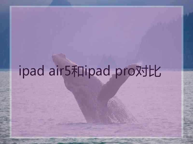 ipad air5和ipad pro对比