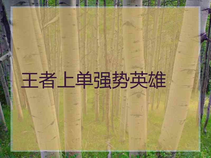 王者上单强势英雄