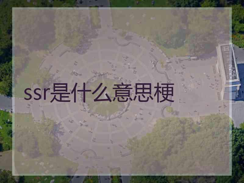 ssr是什么意思梗