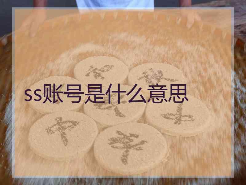 ss账号是什么意思