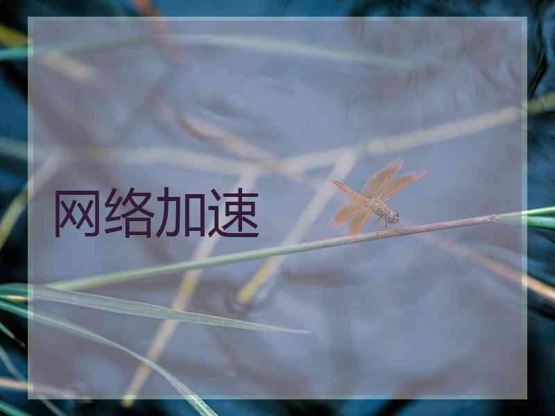 网络加速