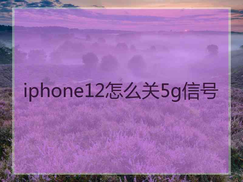 iphone12怎么关5g信号