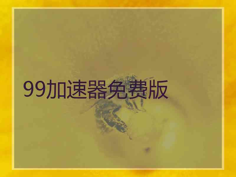 99加速器免费版