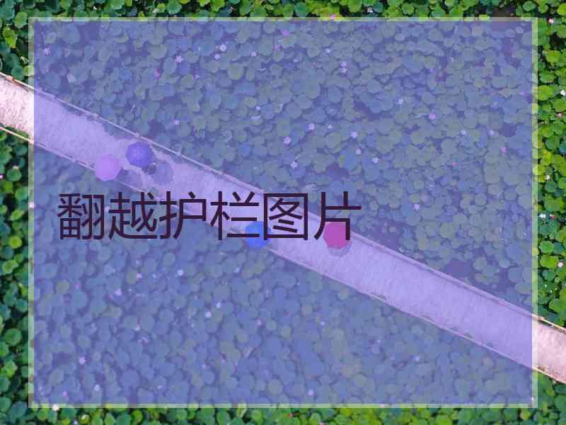 翻越护栏图片