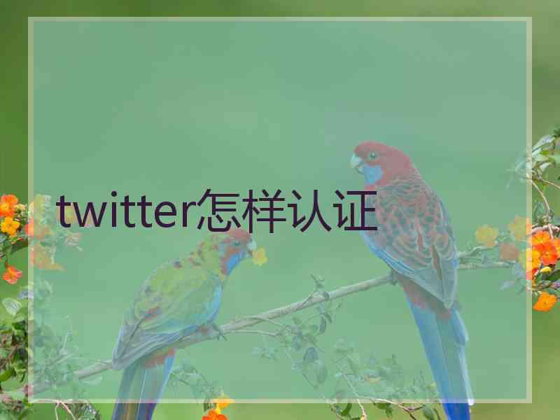 twitter怎样认证