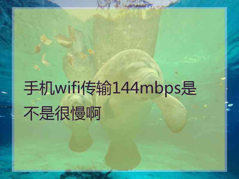 手机wifi传输144mbps是不是很慢啊