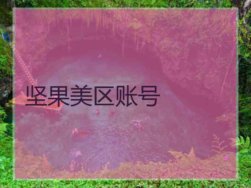 坚果美区账号