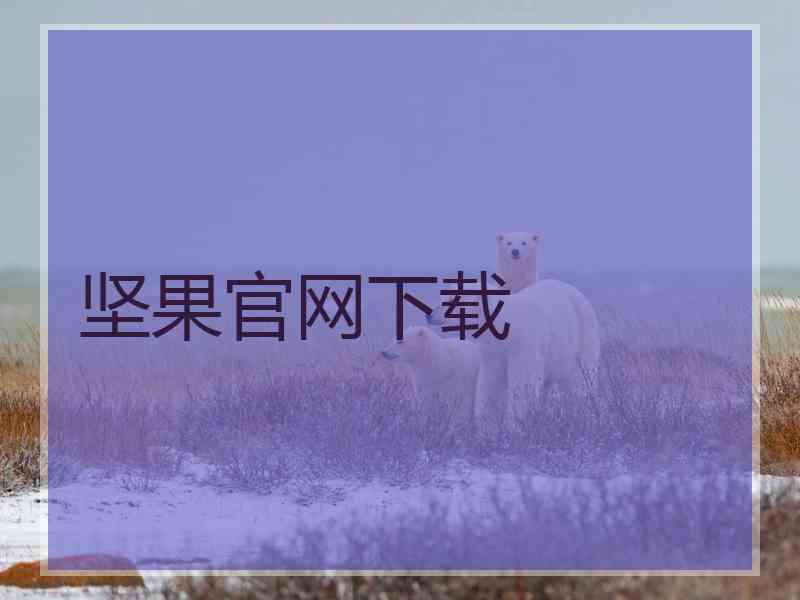 坚果官网下载