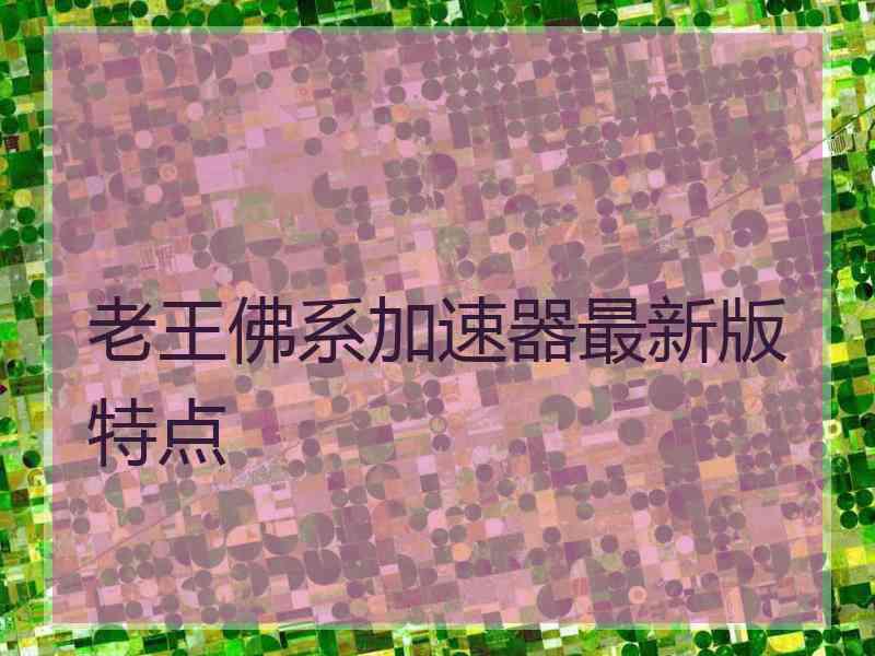 老王佛系加速器最新版特点