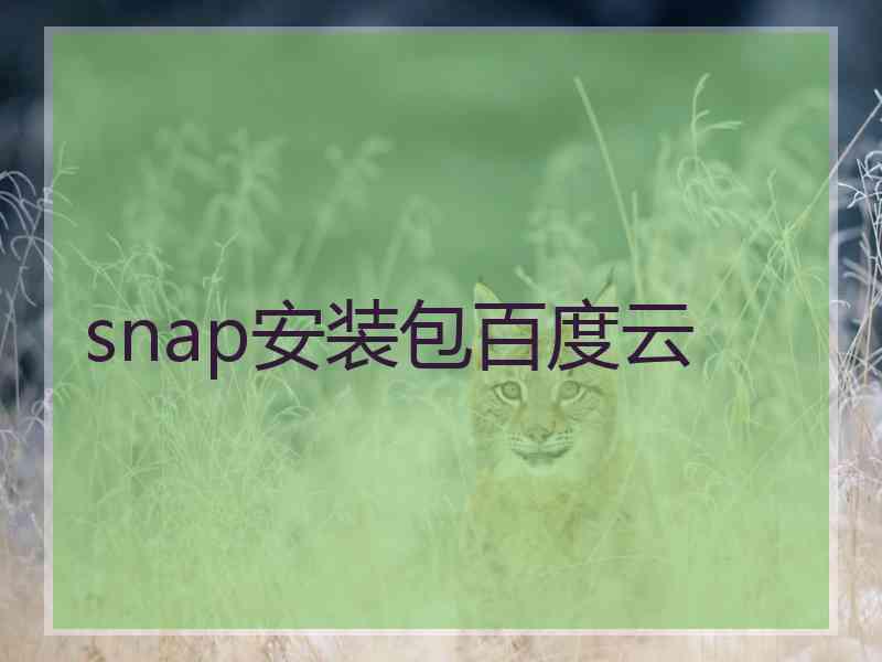 snap安装包百度云