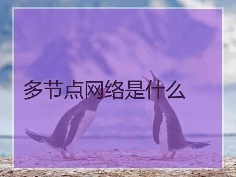 多节点网络是什么