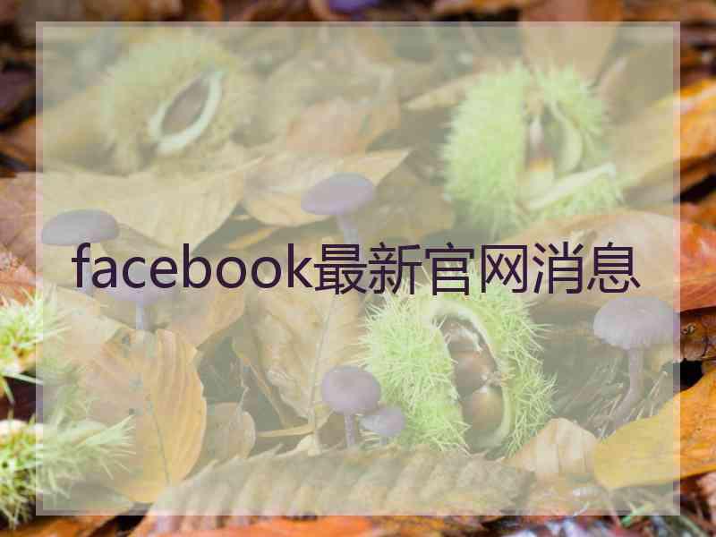 facebook最新官网消息