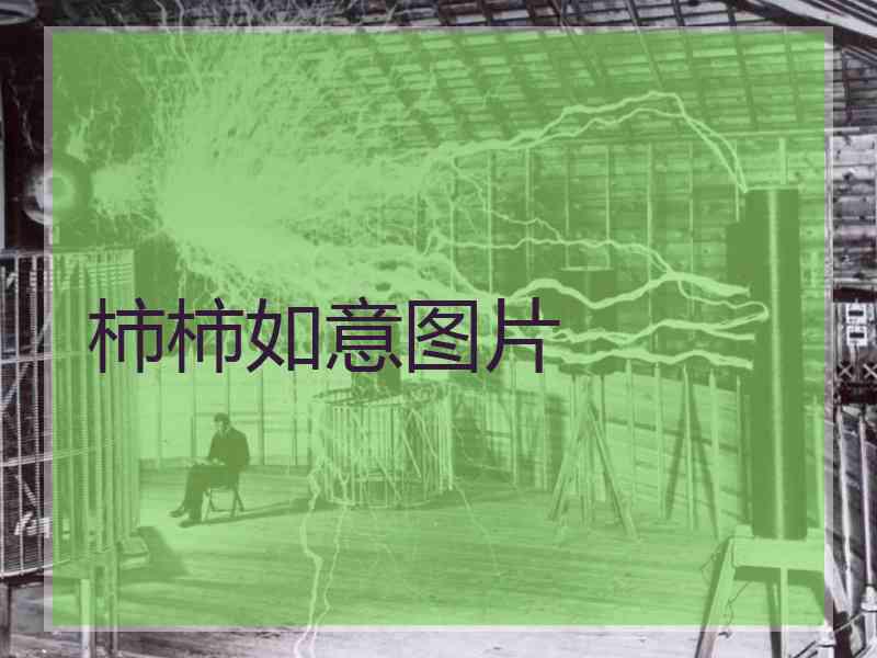 柿柿如意图片