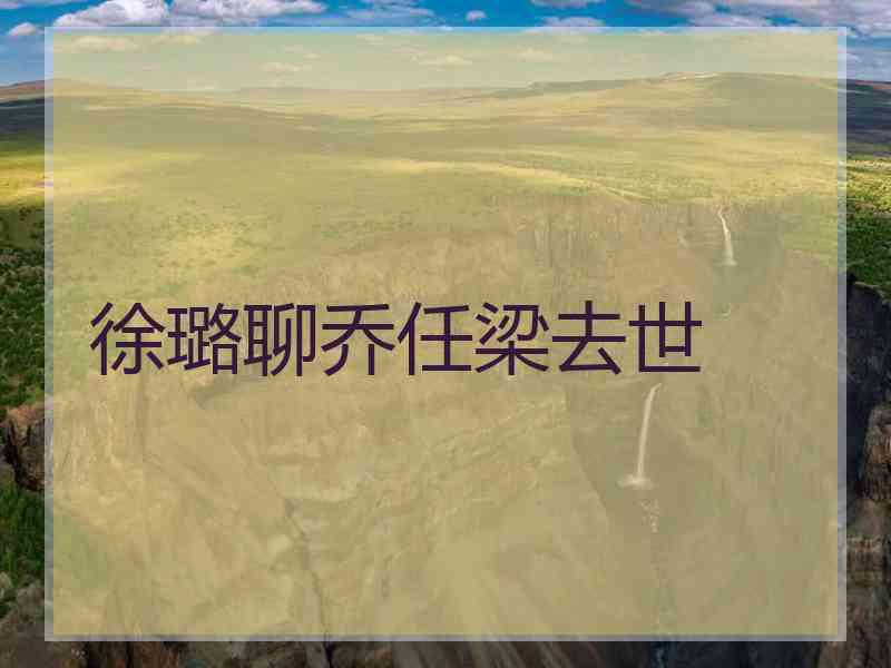 徐璐聊乔任梁去世