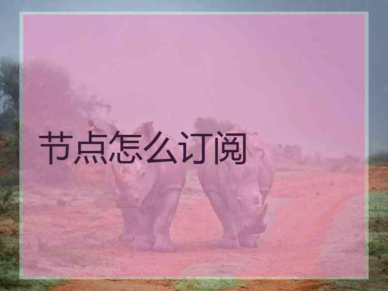 节点怎么订阅