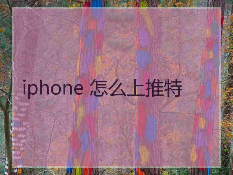 iphone 怎么上推特