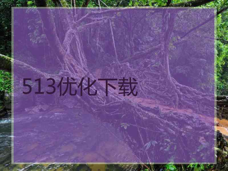 513优化下载