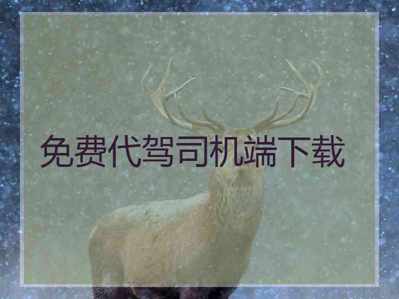 免费代驾司机端下载