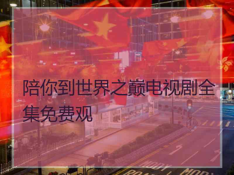 陪你到世界之巅电视剧全集免费观