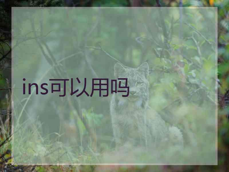 ins可以用吗