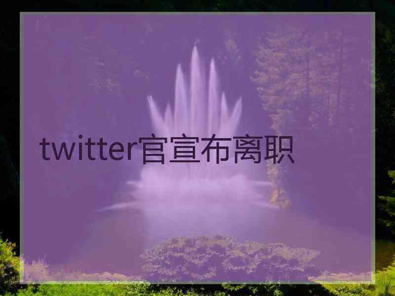 twitter官宣布离职
