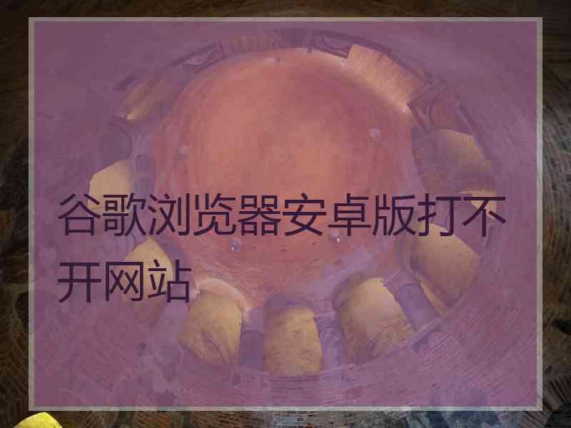 谷歌浏览器安卓版打不开网站