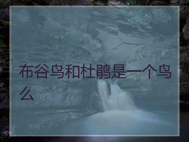 布谷鸟和杜鹃是一个鸟么