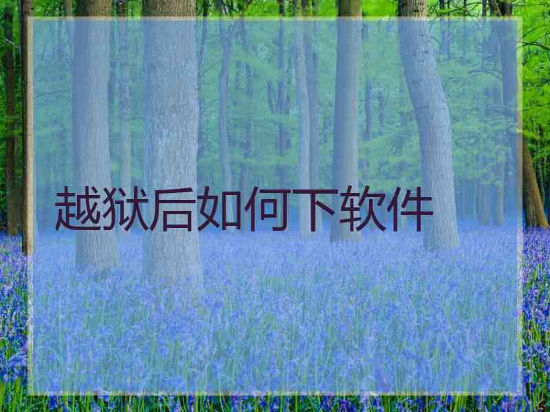 越狱后如何下软件