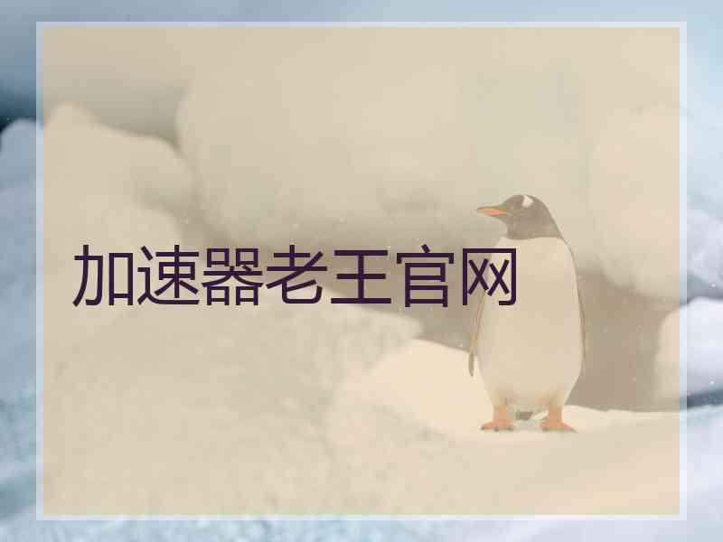 加速器老王官网