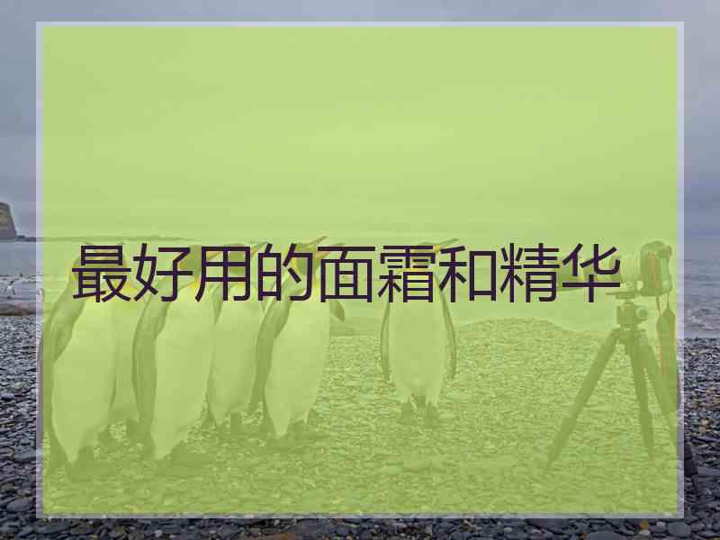 最好用的面霜和精华
