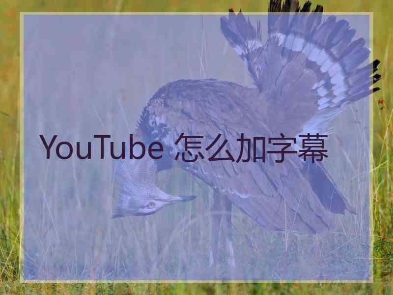 YouTube 怎么加字幕