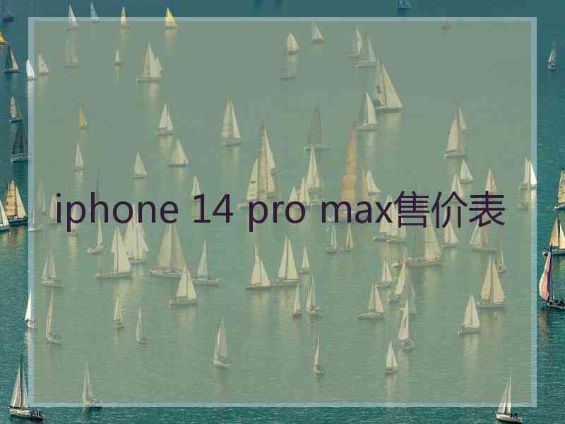 iphone 14 pro max售价表