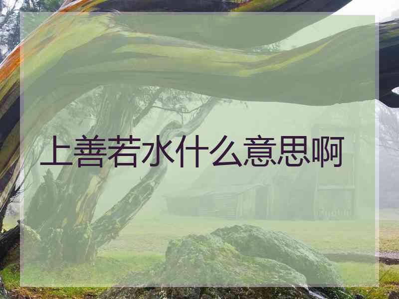 上善若水什么意思啊