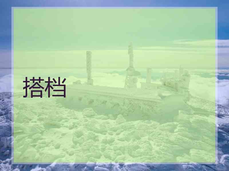 搭档