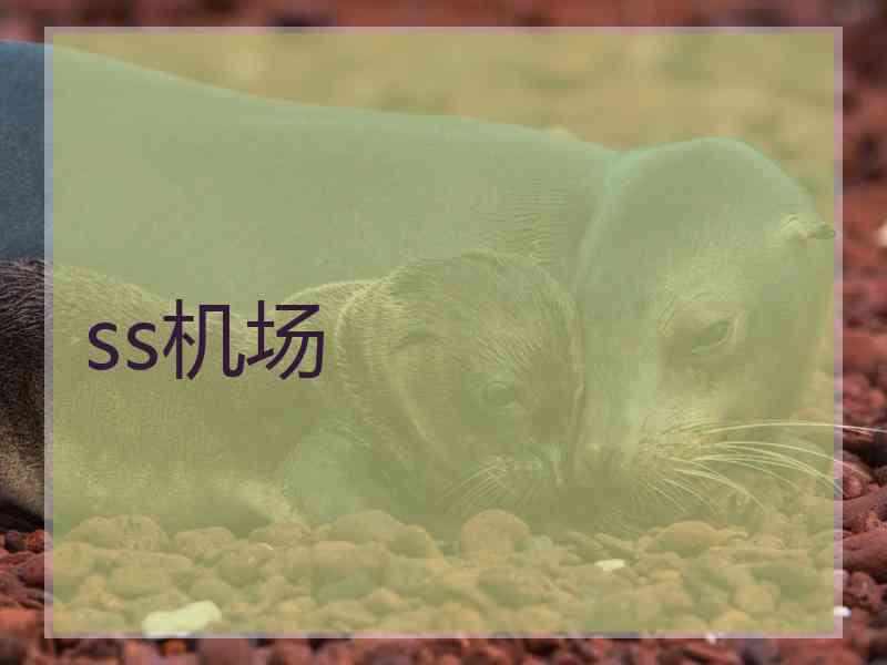 ss机场