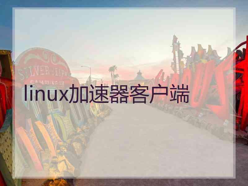linux加速器客户端